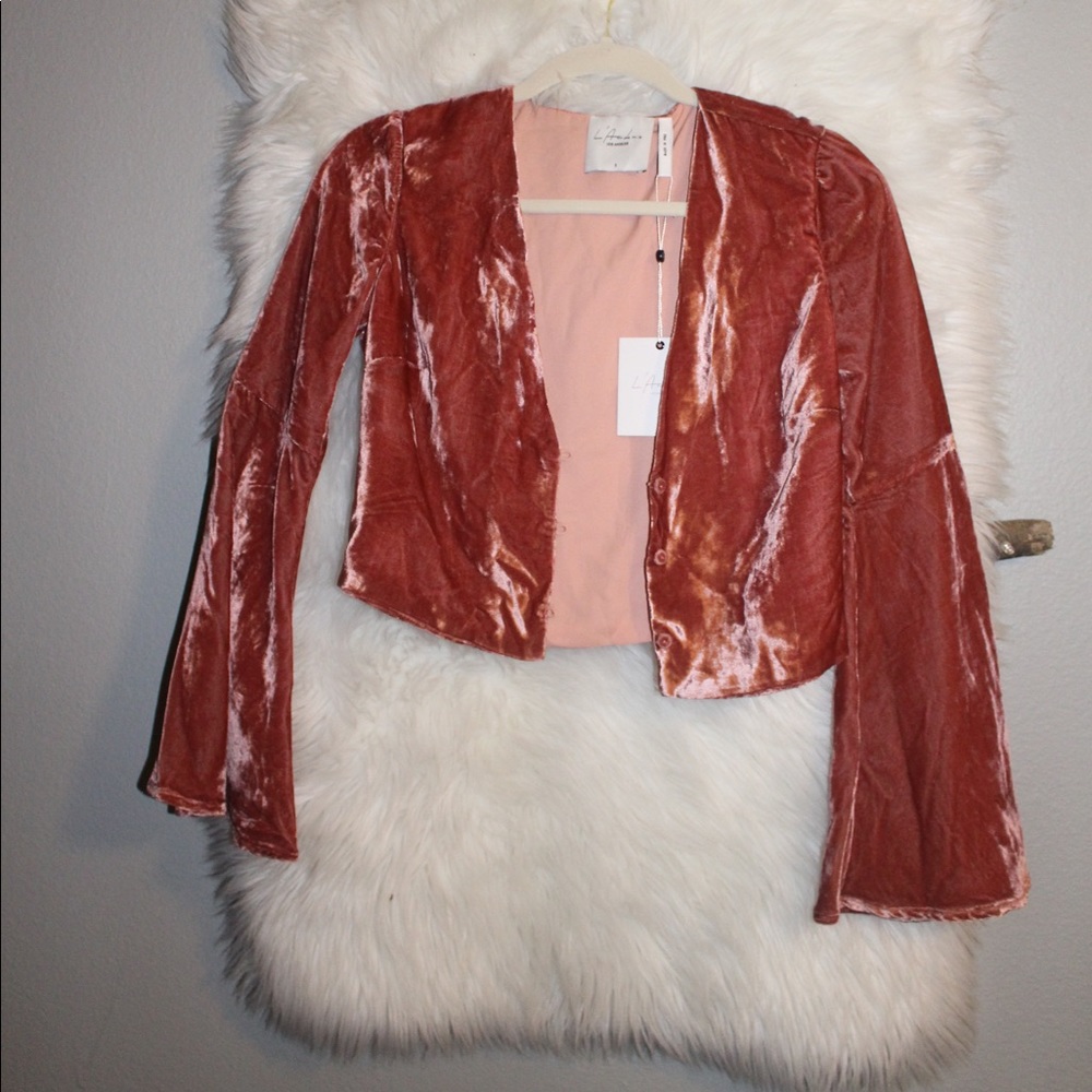 Pink Velvet Flared Sleeve Crop Top